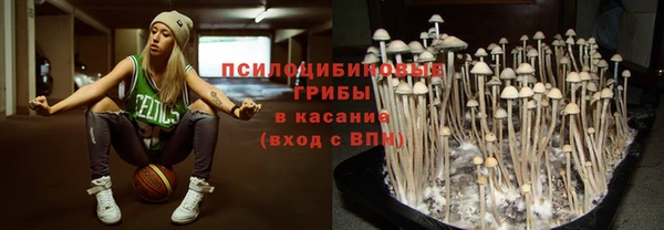 гидропоника Нефтекумск